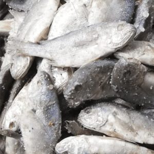 Pathari Mundi Sukhua 400g