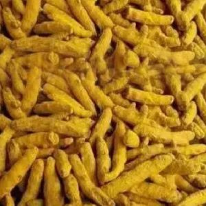 Kandhamal Pure Gota Haldi​