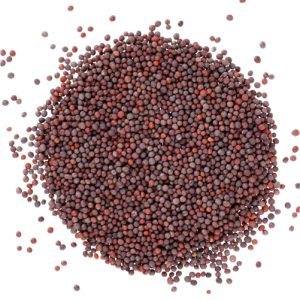 Black Mustard Seeds (100g)